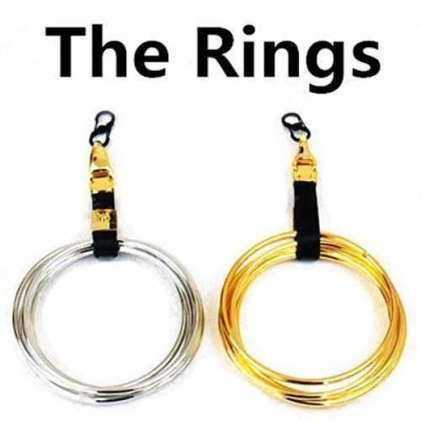 The Rings (Silver Rings and DVD) by Raymond Iong