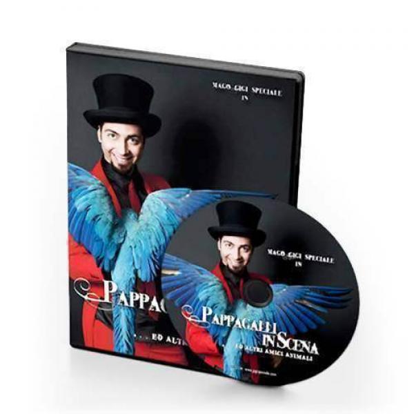 Gigi Special - Parrots on Stage (DVD)