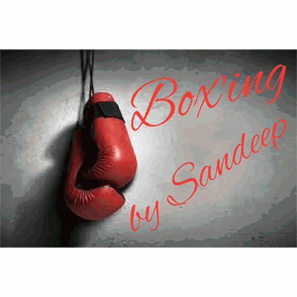 Box'ing by Sandeep video DOWNLOAD