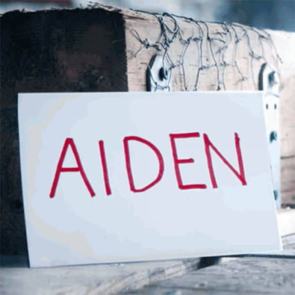 Aiden (DVD and Gimmicks) by Ryuhei Nakamura - DVD