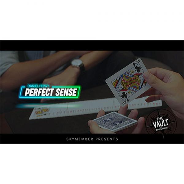 The Vault - Skymember Presents Perfect Sense by Da...