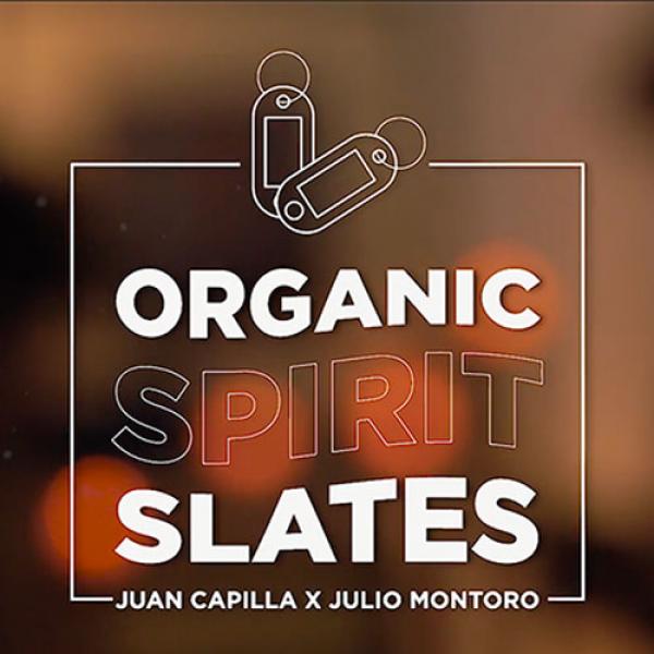 Organic Spirit Slates (Gimmicks and Online Instruc...